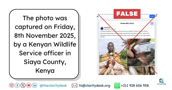 1_c3s7xzrB6zplzwk2kDOrvg