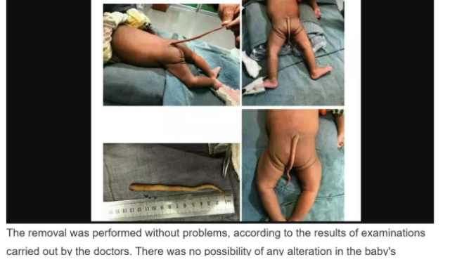 A screenshot showing the an article published by Canal121